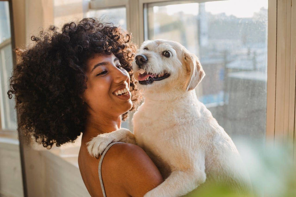 Omega Supplements Help Dog Behaviour