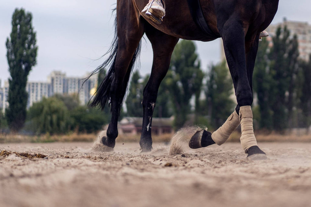 Need to Know Before Riding on Sand