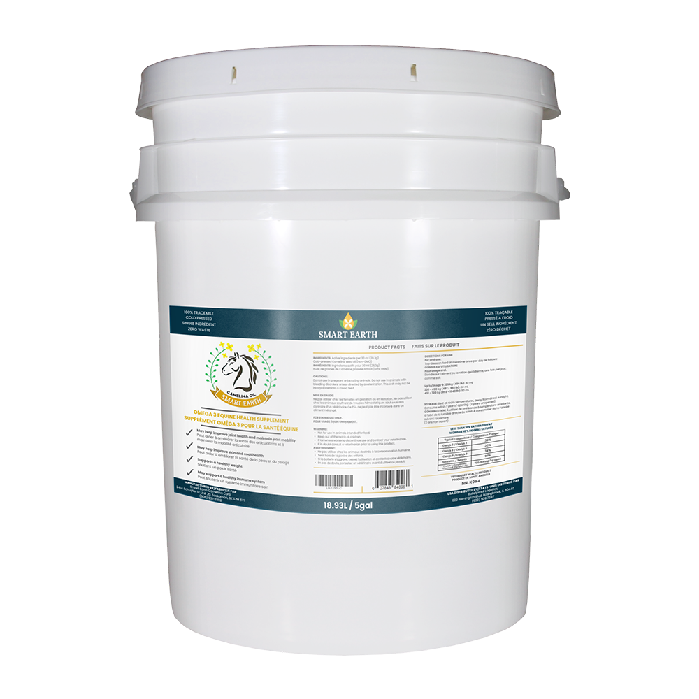 Camelina Oil for Equine - 5gal Pail