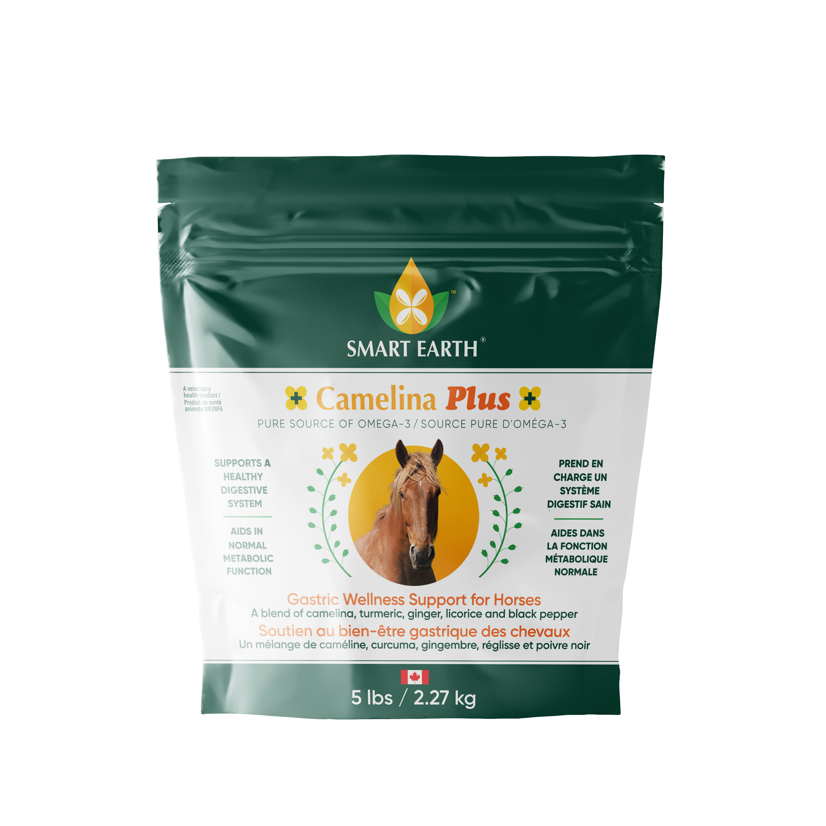 Camelina Plus - Gastric Wellness Support