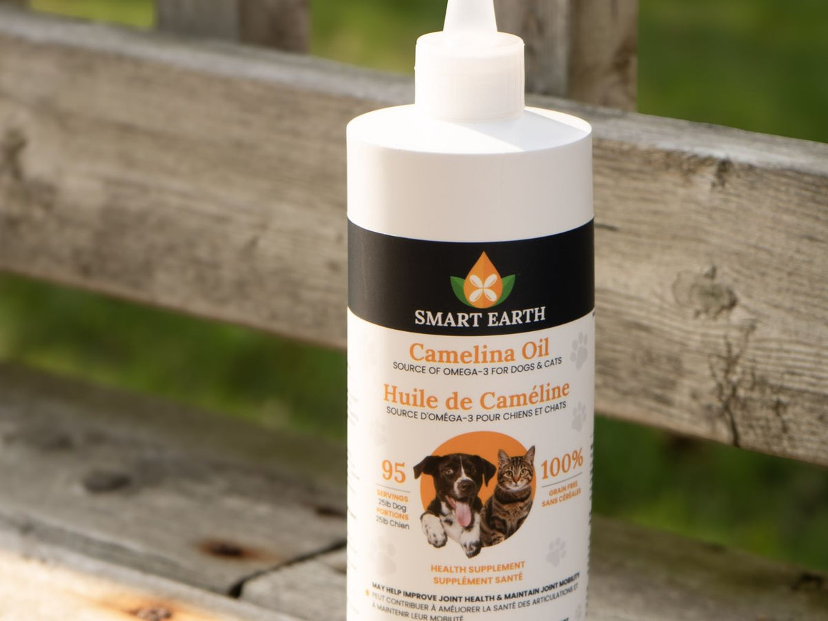 64oz Camelina Oil jug on a deck with a white fence and pasture behind